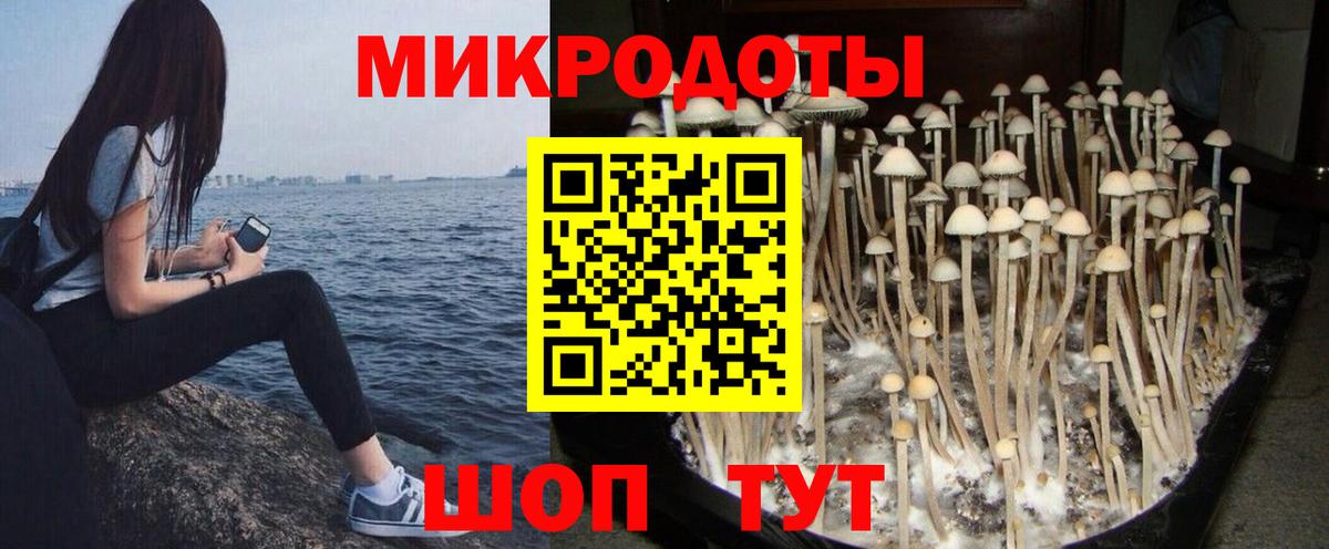 Псилоцибиновые грибы Magic Shrooms  Псилоцибиновые грибы Psilocybe  Прохладный  Вход с VPN 