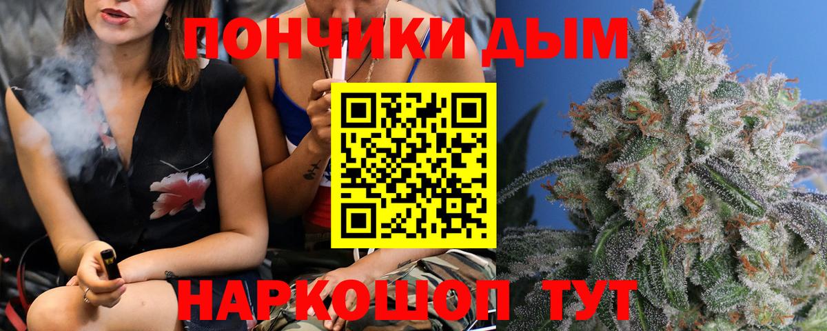 Каннабис конопля Прохладный